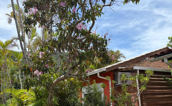 Ambiente 2 — casa em Cachoeira do Bom Jesus