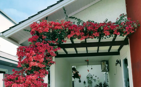 Ambiente 2 — casa em Cachoeira do Bom Jesus