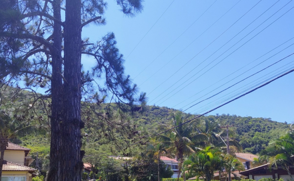 Ambiente 2 — terreno em Cachoeira do Bom Jesus