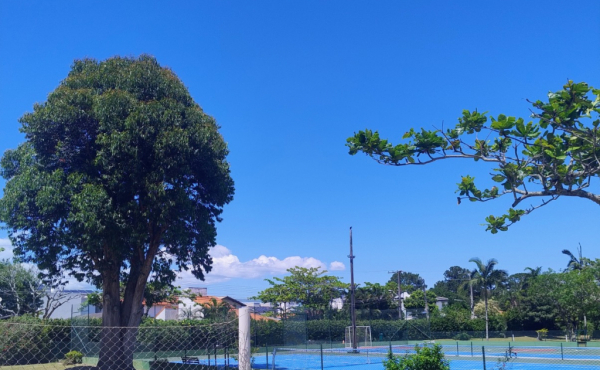 Ambiente 3 — terreno em Cachoeira do Bom Jesus