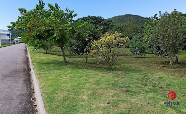Ambiente 4 — terreno em Cachoeira do Bom Jesus