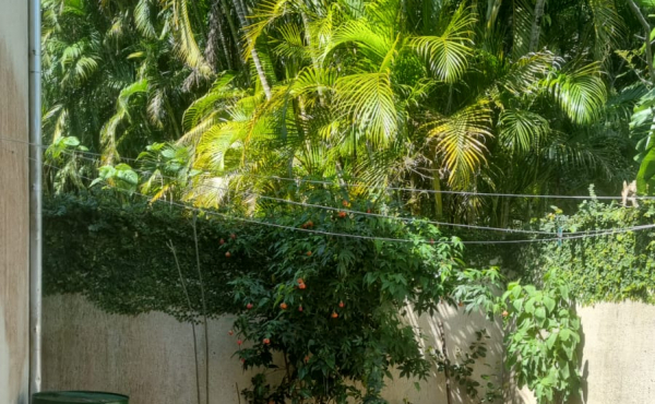 Ambiente 3 — casa em Cachoeira do Bom Jesus