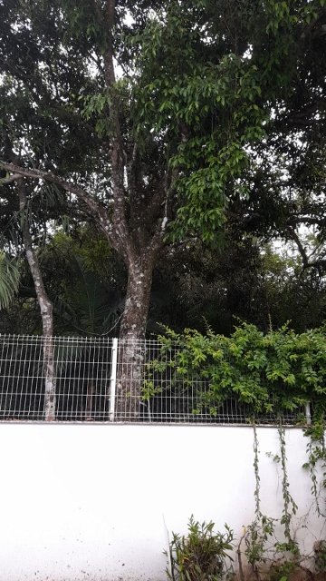 Ambiente 2 — casa em Ponta das Canas