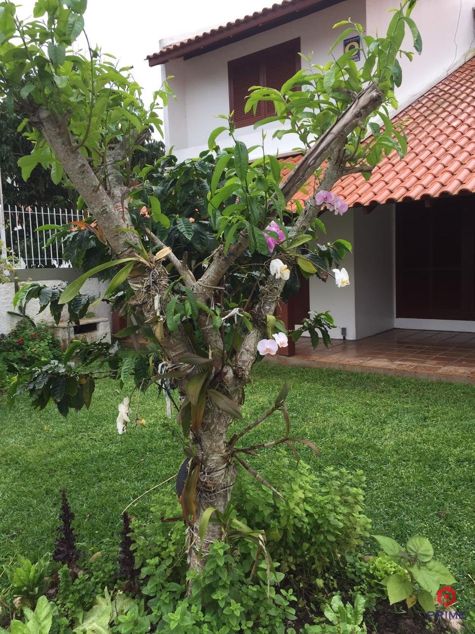Ambiente 2 — casa em Cachoeira do Bom Jesus